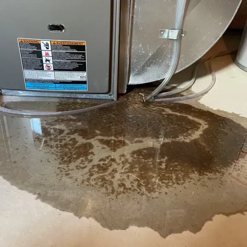 Appliance Leak Cleanup in Lake Success, NY